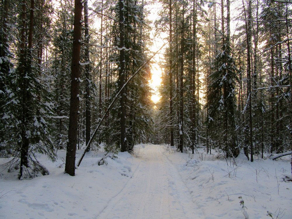 Photograph by Ирина Осипова