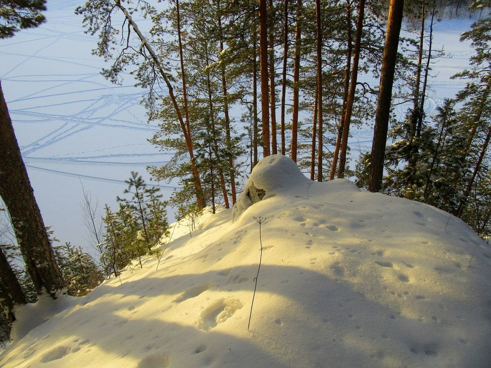 Солнце на снегу.