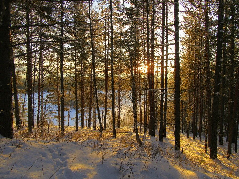 Photograph by Ирина Осипова