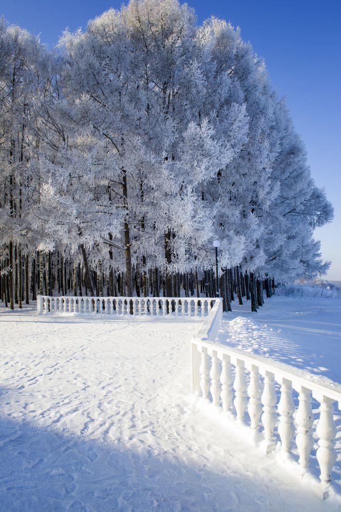 Photograph by Сергей Феофанов