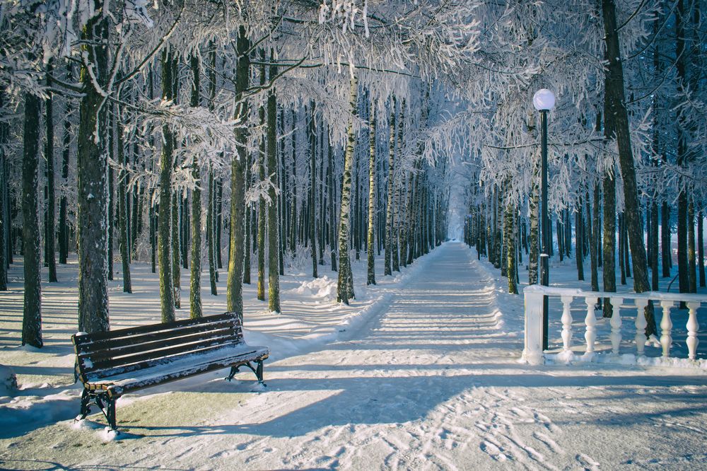 Photograph by Сергей Феофанов