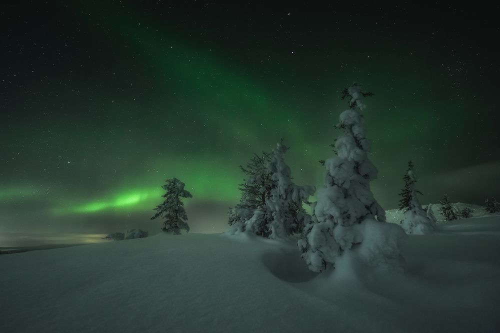 Photograph by Антон Шваин