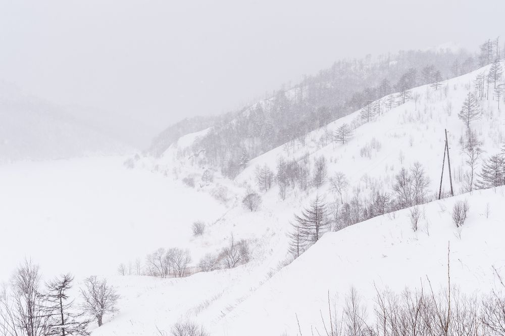 Photograph by Максим Тыщенко