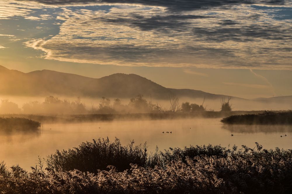 Photograph by Stipe Perković