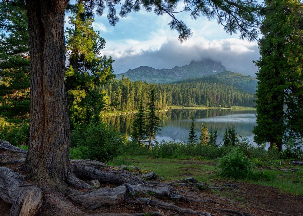 Озеро Светлое