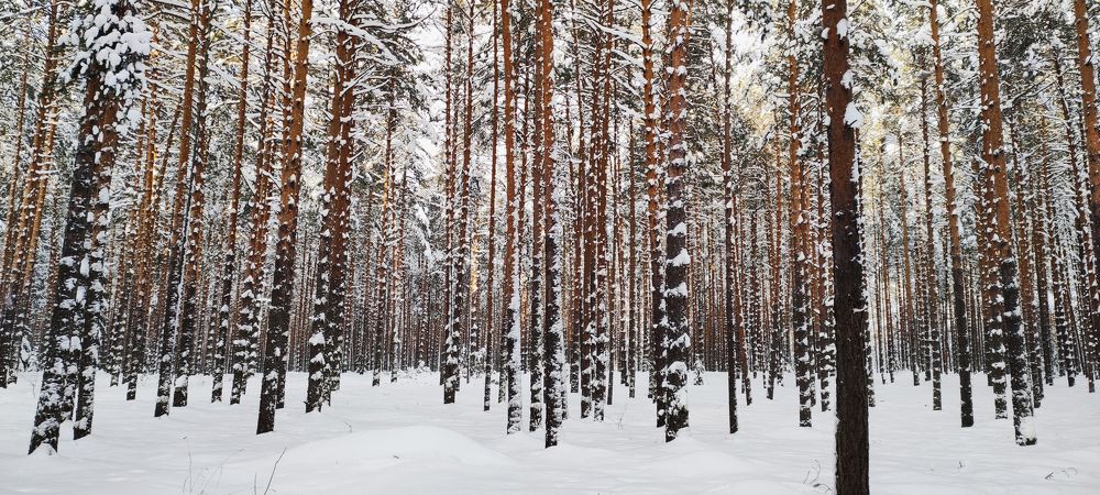 Photograph by Наталья Калюнова