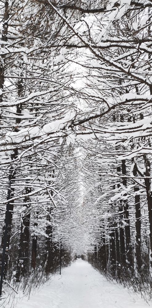 Photograph by Наталья Калюнова