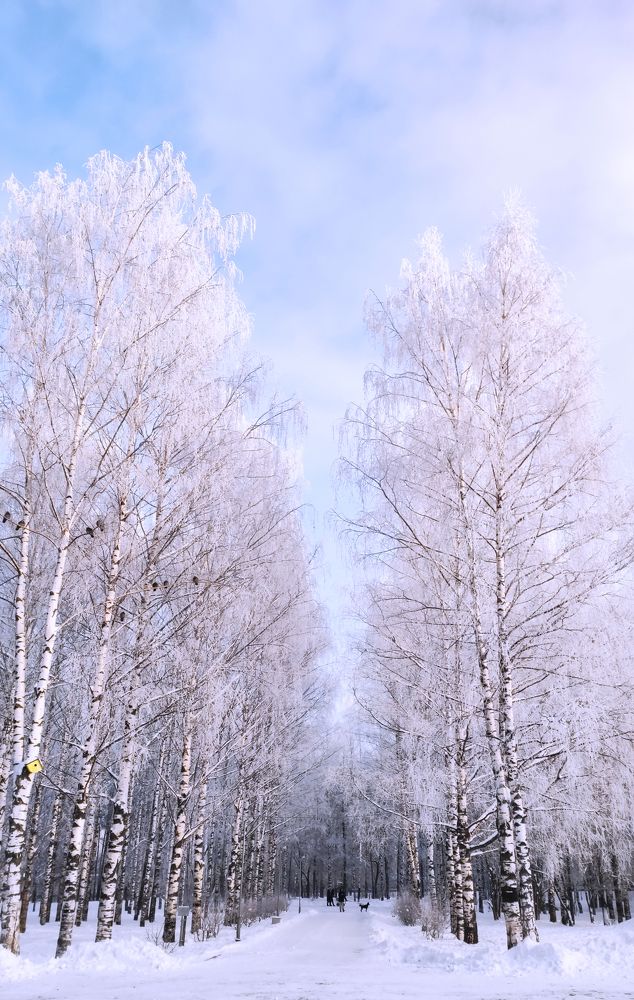 Photograph by Наталья Калюнова