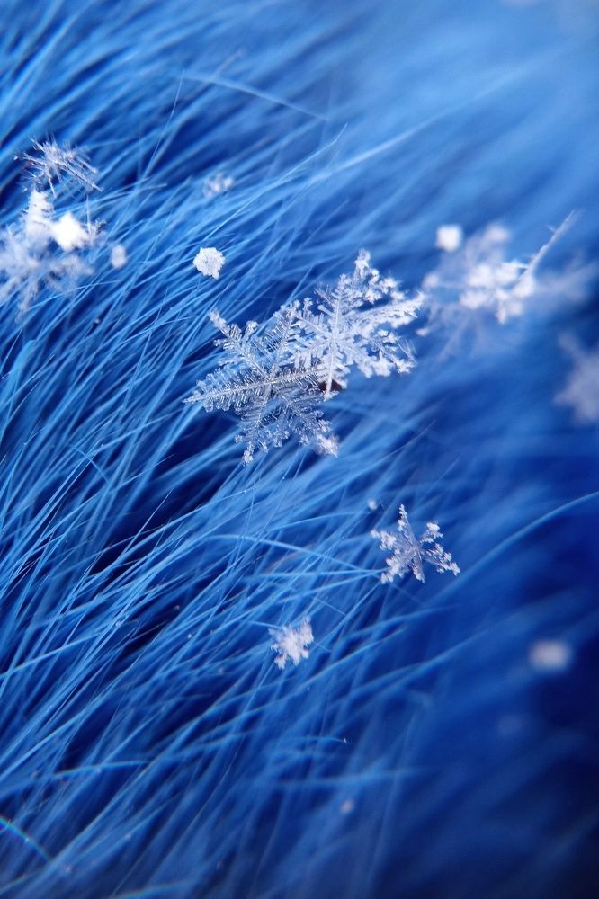 Photograph by Алеся Цеван