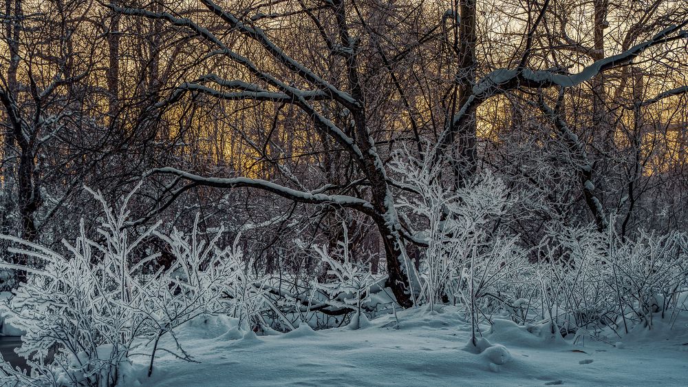 Photograph by Дмитрий Ворошилов