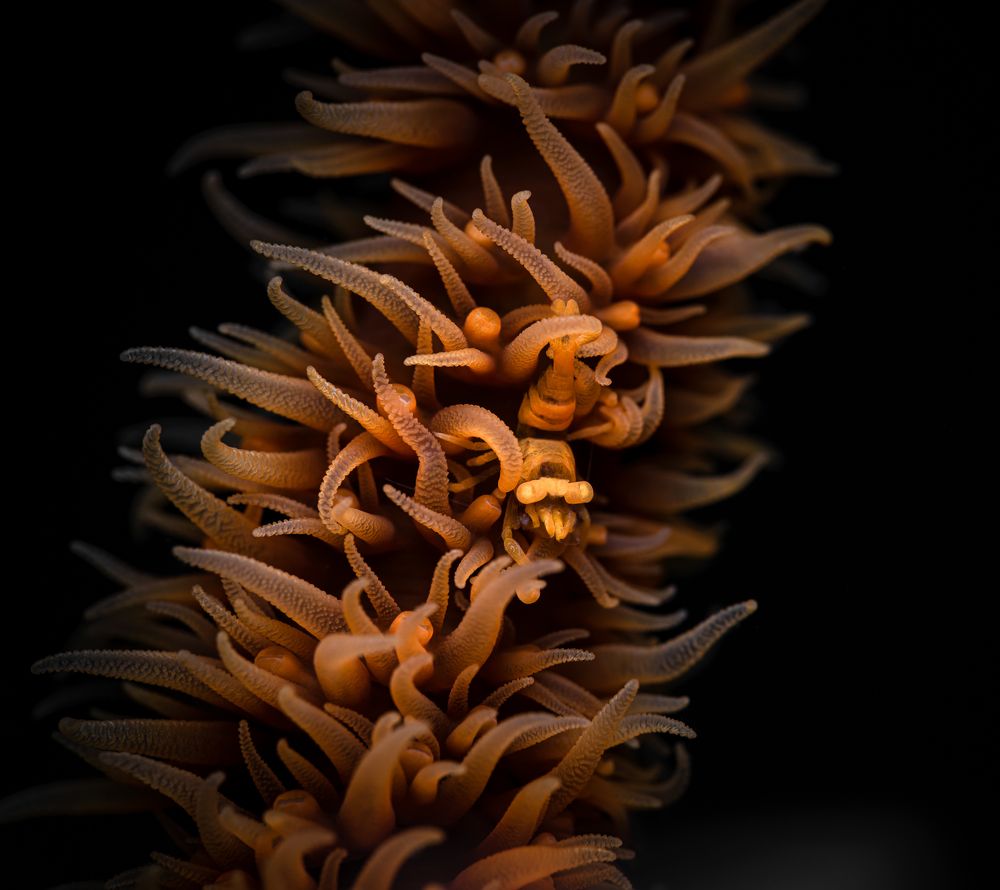 Photograph by Савин Андрей