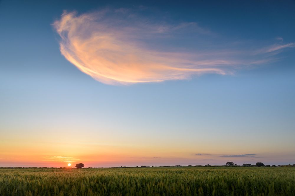 Photograph by Giancarlo Tinè