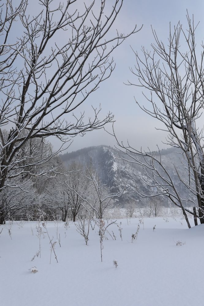 Photograph by Переверзева Татьяна