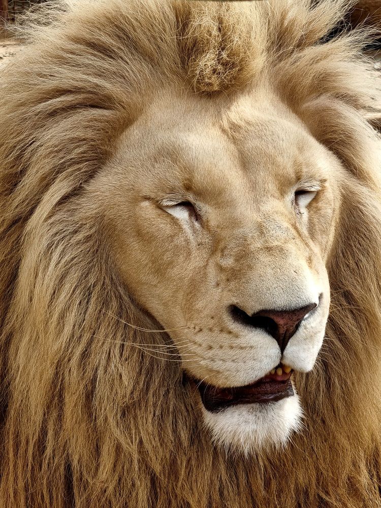 Photograph by Hanna Bourne