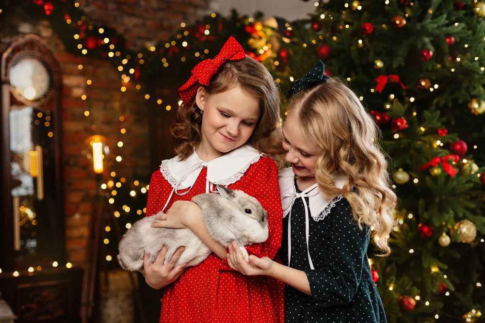 Photograph by Светлана Тузлукова