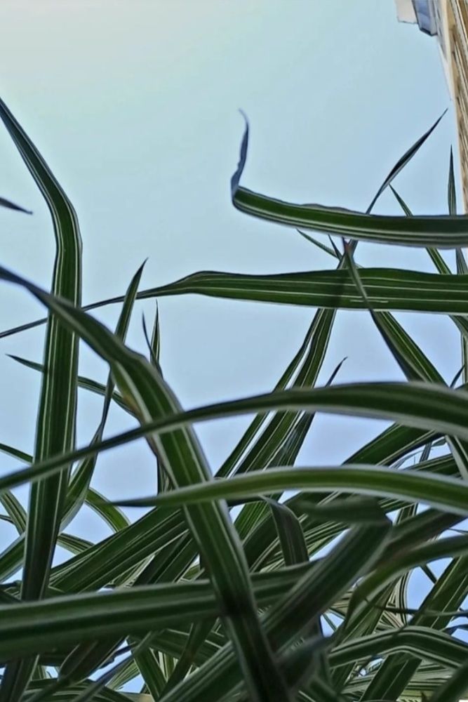 Photograph by Каковкина Ольга