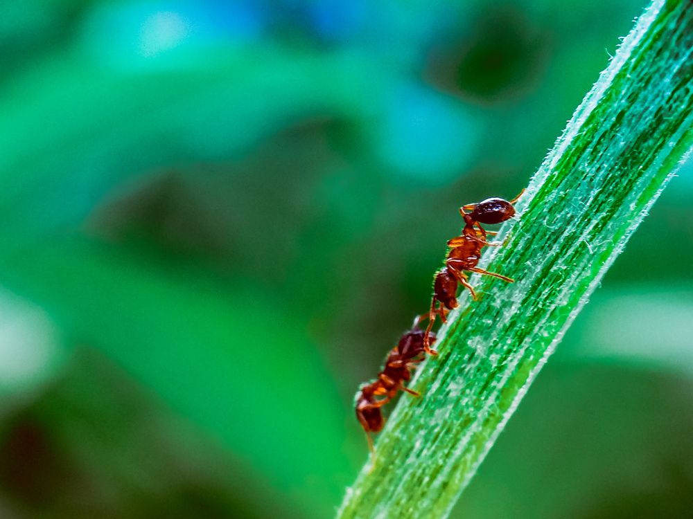 Photograph by mikhail goryachev