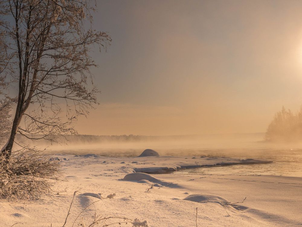 Photo #8475775