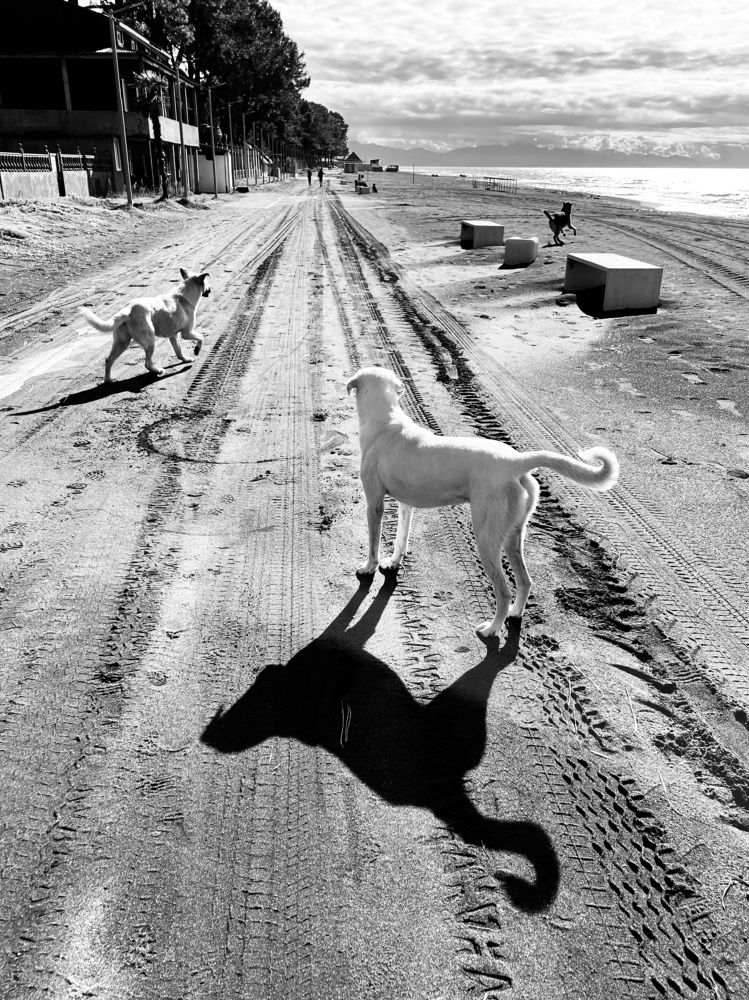 Photograph by Ирина Платонова