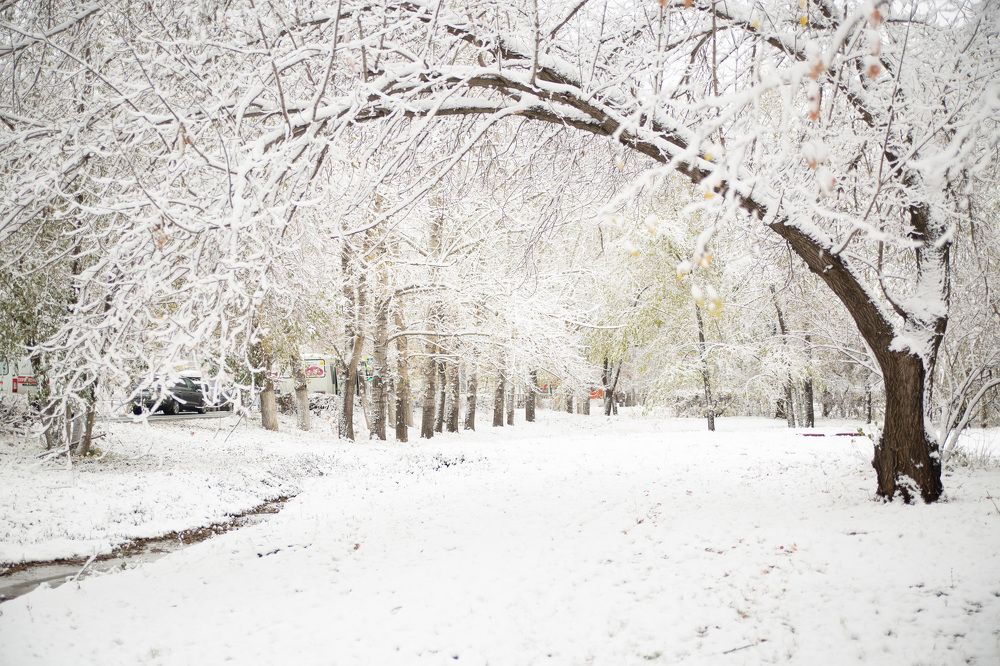 Photograph by Марина Комина