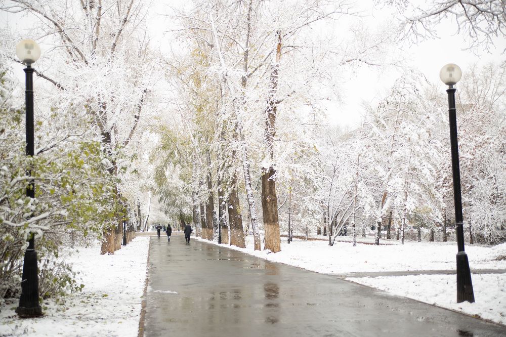 Photograph by Марина Комина