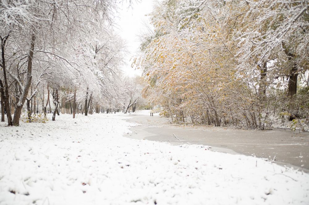 Photograph by Марина Комина