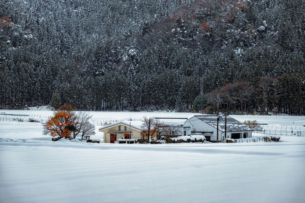 Photograph by Quang Dieu Le