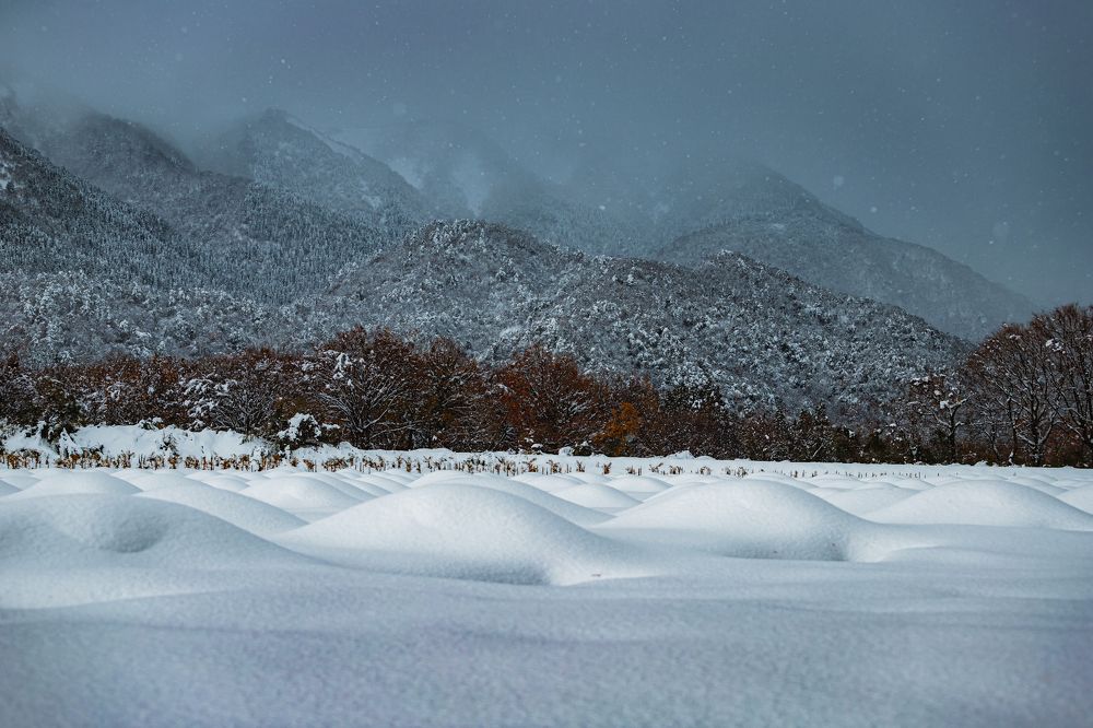 Photograph by Quang Dieu Le