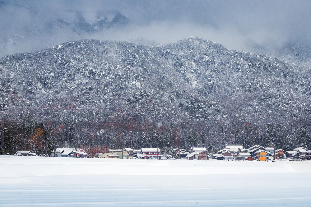 Photograph by Quang Dieu Le