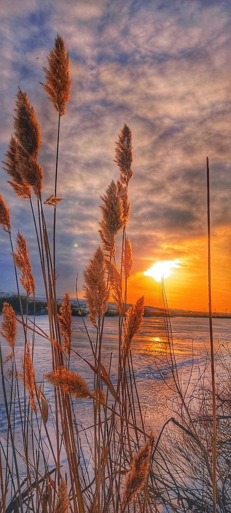 Photograph by Валентин Волк