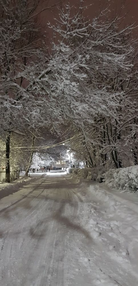 Фотография автора Ольга Мусина