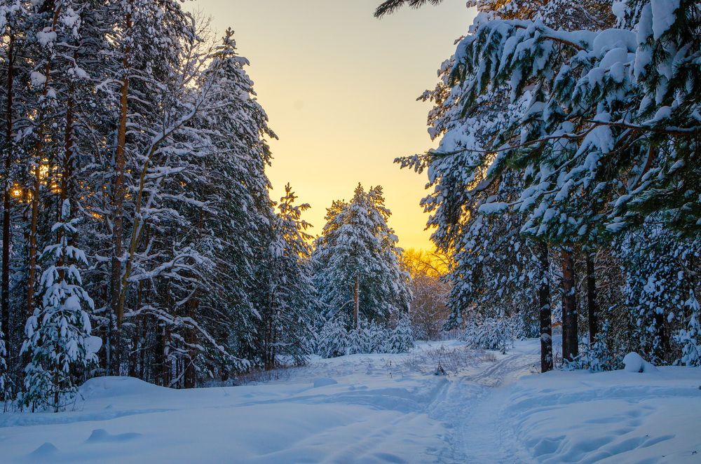 Photograph by Артём Шестаков