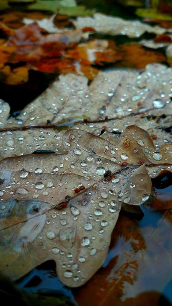 Photograph by Валентина