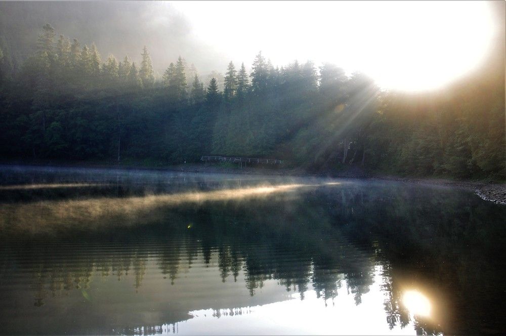 Photograph by БРОВКО АЛЕКСАНДР ИВАНОВИЧ