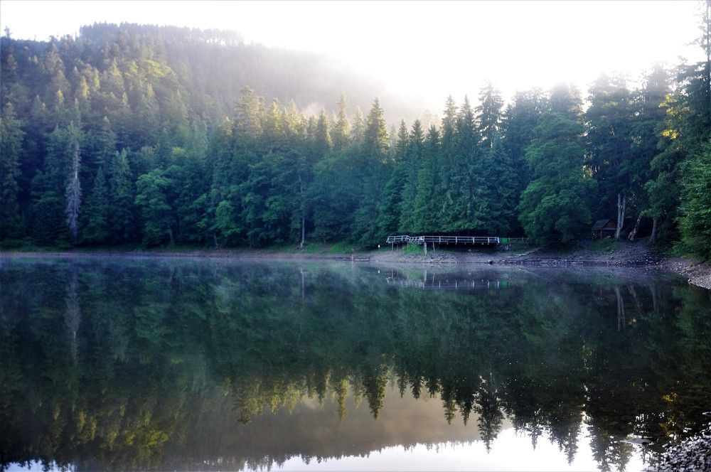 Photograph by БРОВКО АЛЕКСАНДР ИВАНОВИЧ