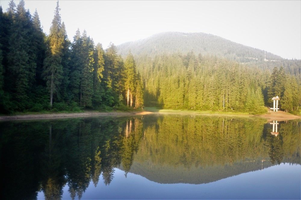 Photograph by БРОВКО АЛЕКСАНДР ИВАНОВИЧ