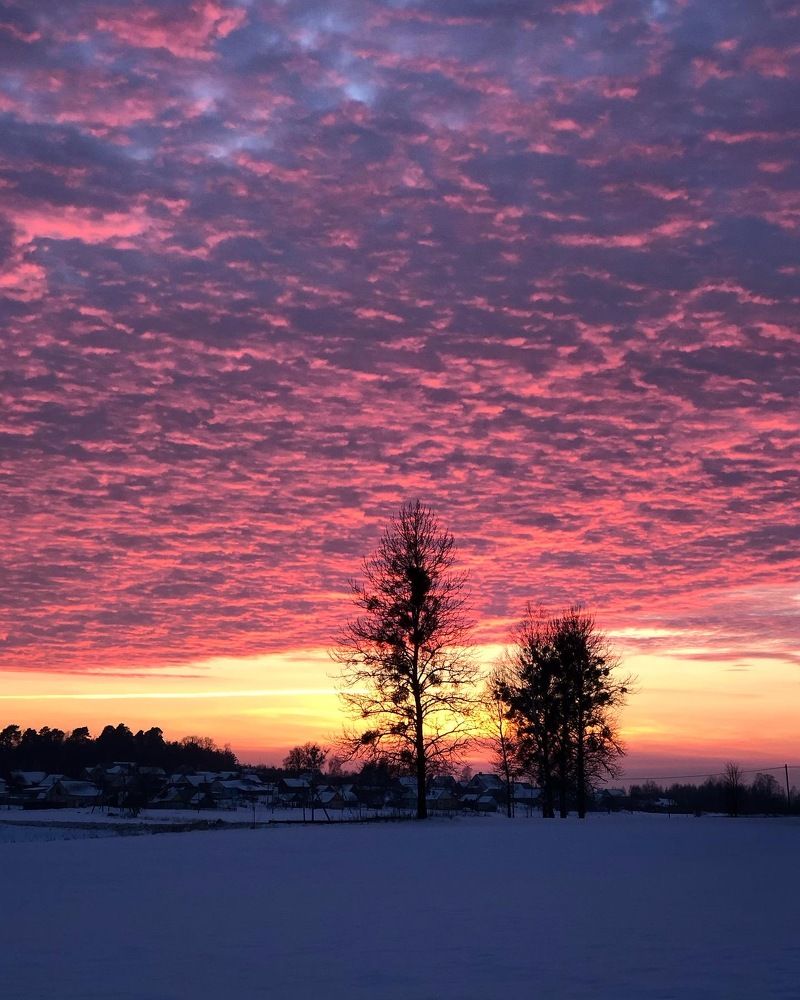 Photograph by Лариса Акинчиц