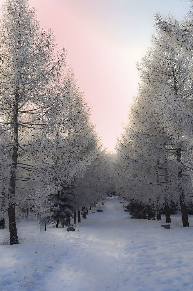 Photograph by Ирина Александрович