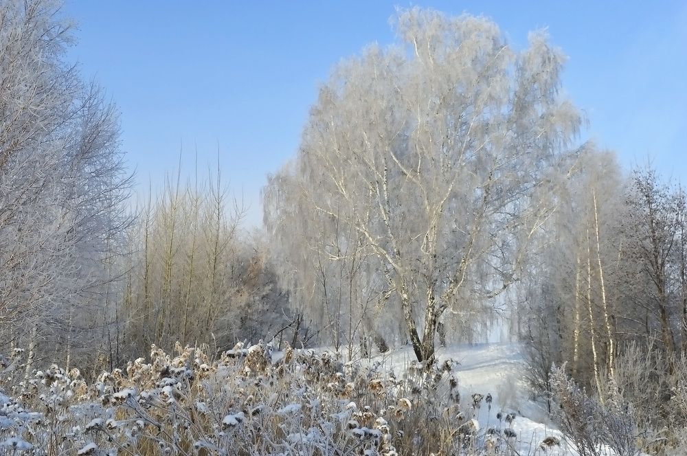 Photograph by Ирина Александрович