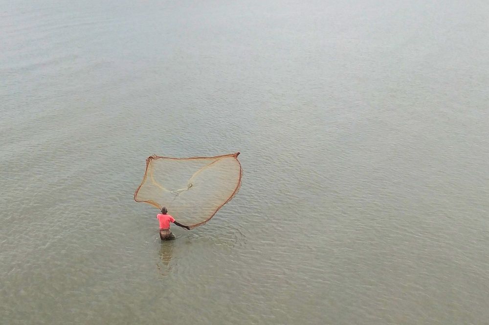 Фотография автора Avijit datta