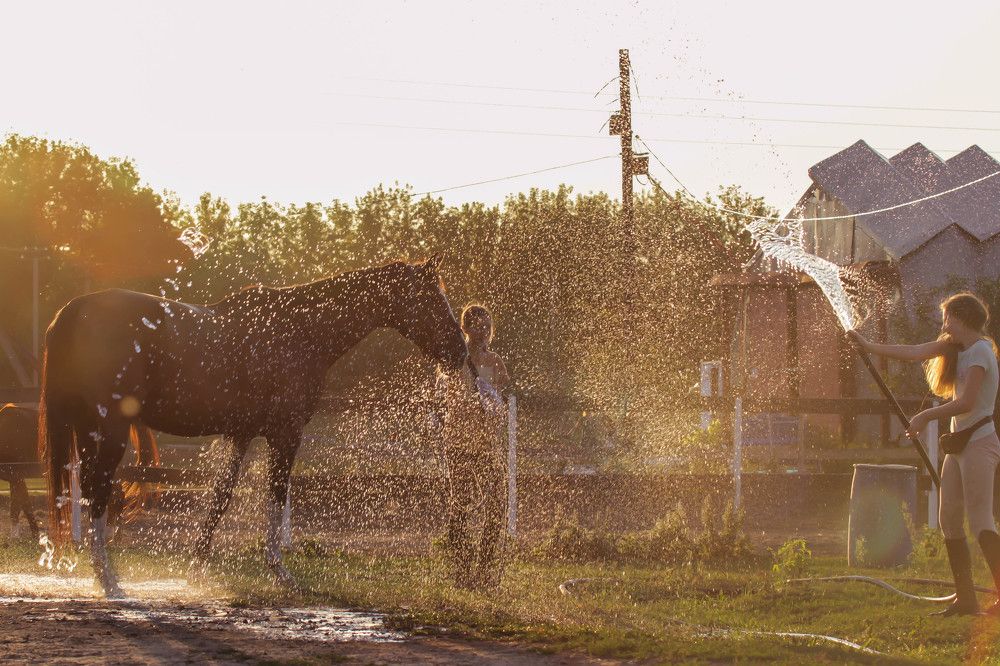 Photograph by Москалева Альбина Михайловна