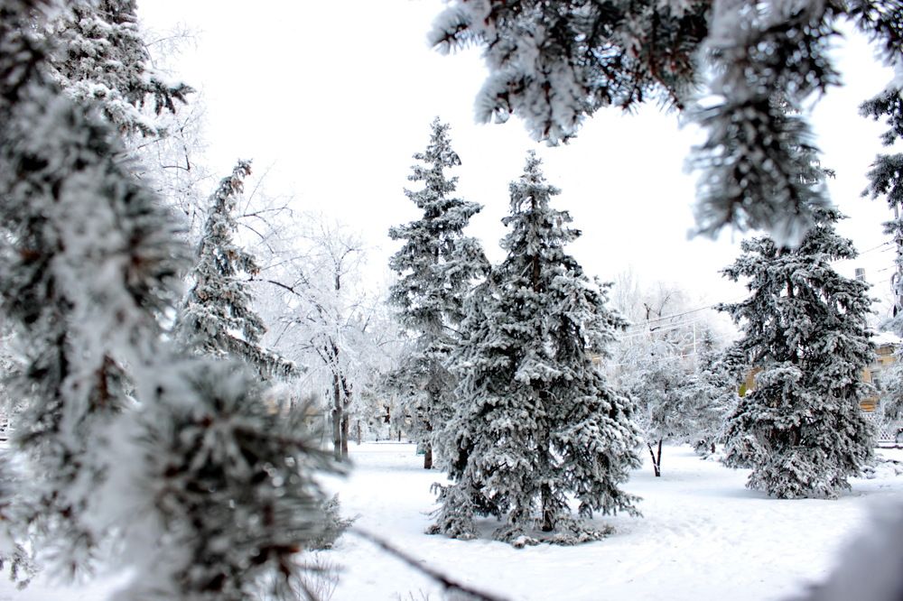 Photograph by Alecsandr Sarbaev