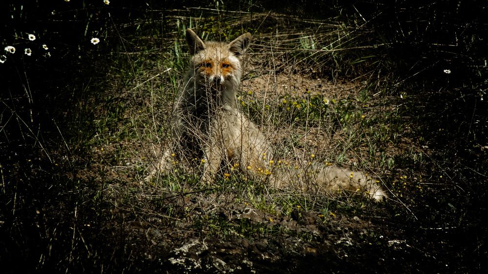 Фотография автора NECMETTİN SOBUTAY