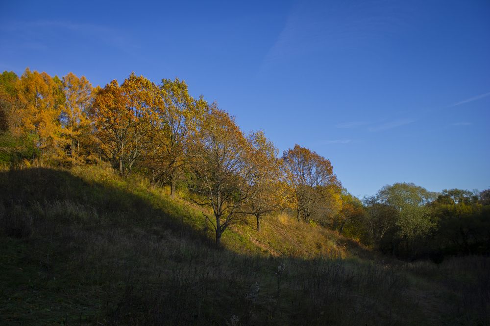 Photograph by Арсений Хотеев