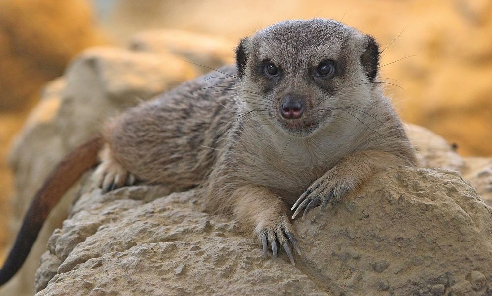 Photograph by Galina Tsmyg