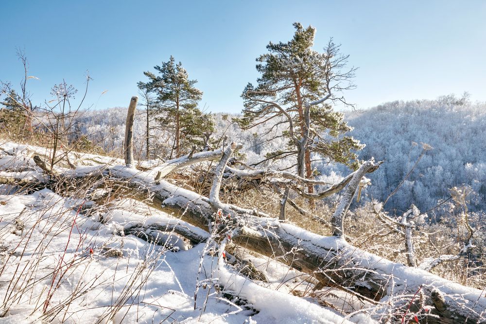 Photograph by Олег Архипов