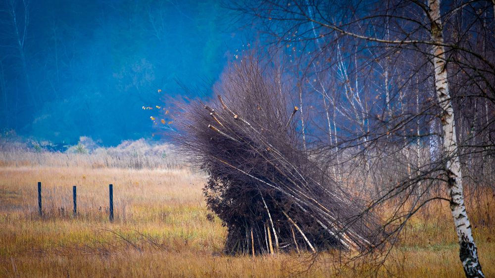 Photograph by Селезнев Сергей