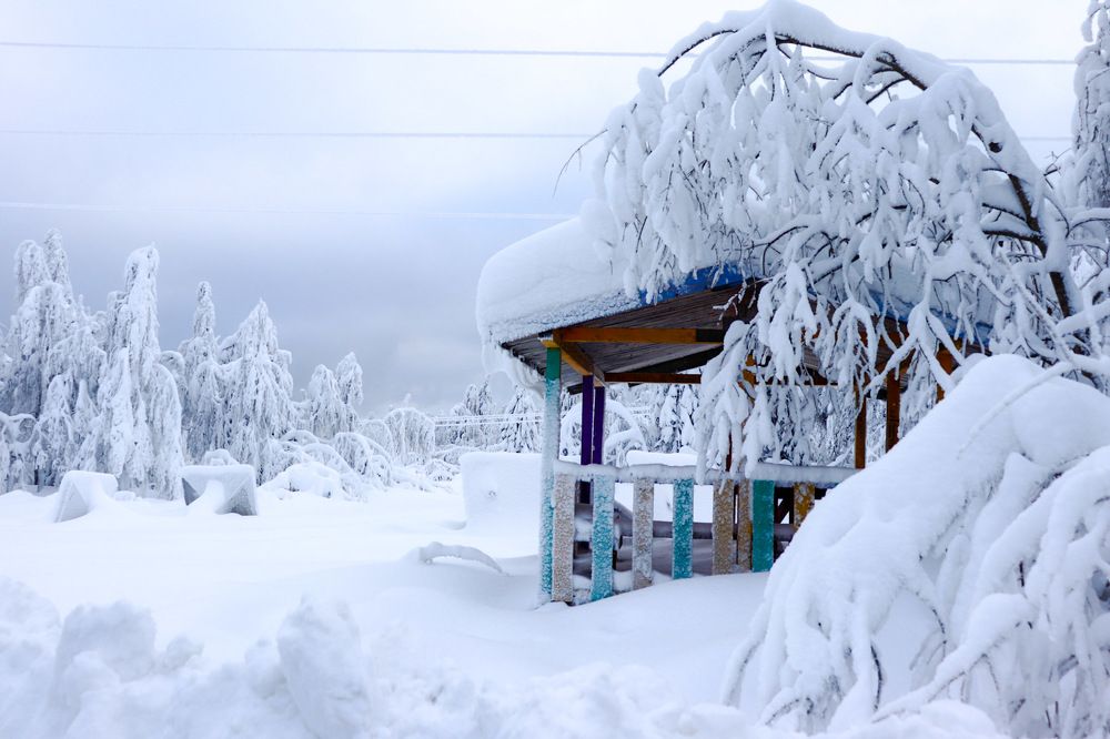 Photograph by Лилия Васильева