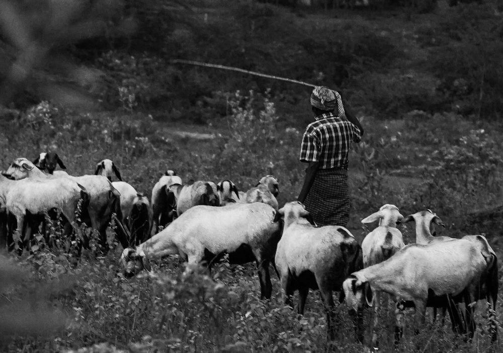 Photograph by Sathyasurya