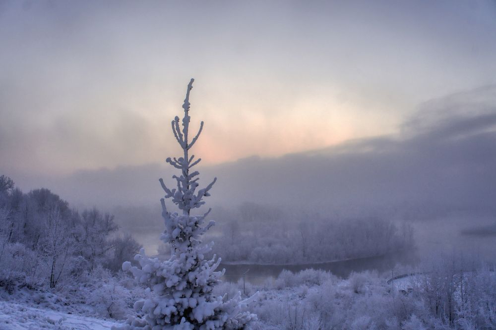 Photograph by Александр Пургин